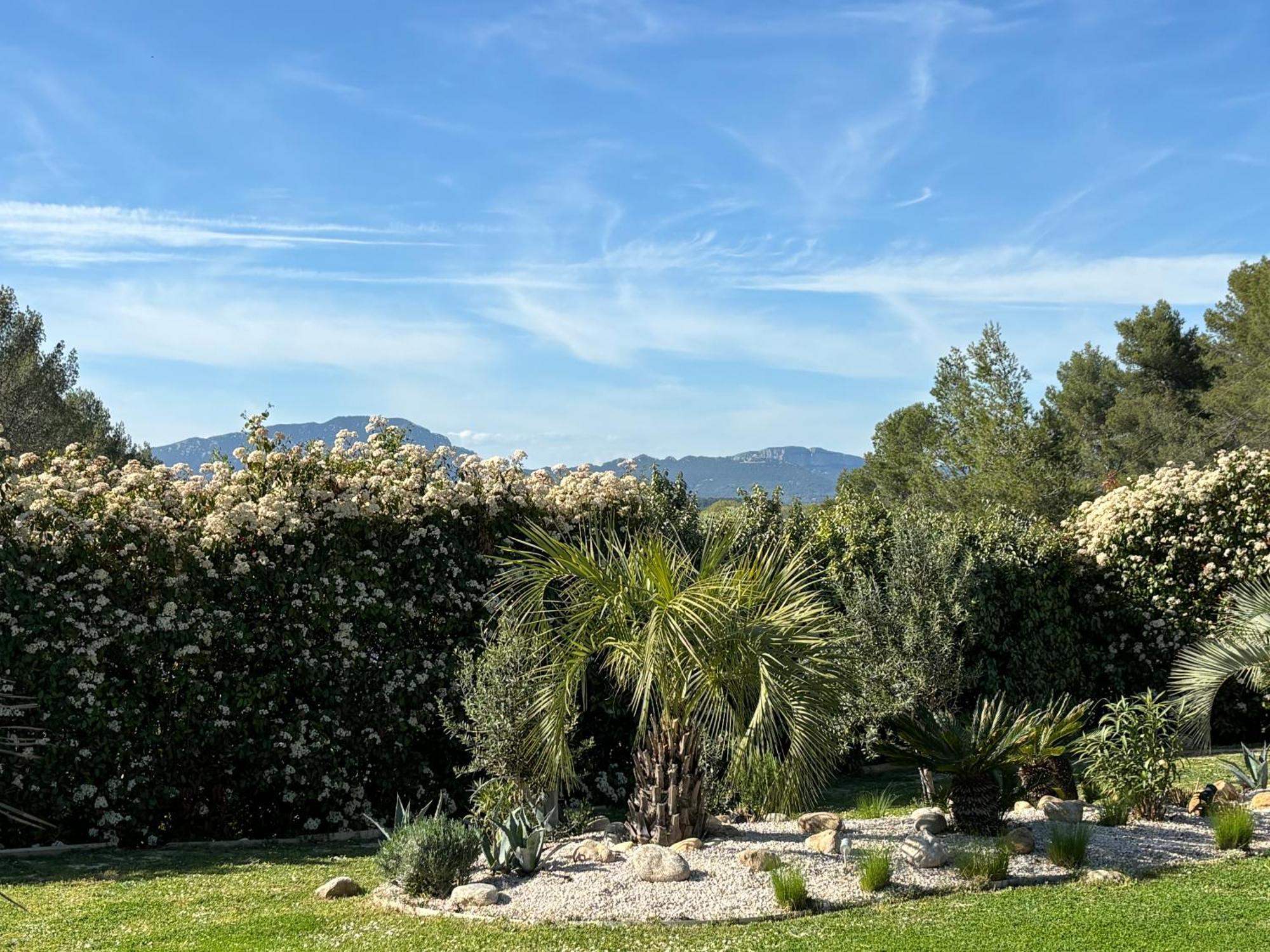 Joli Havre De Paix Villa Prades-le-Lez Exterior foto